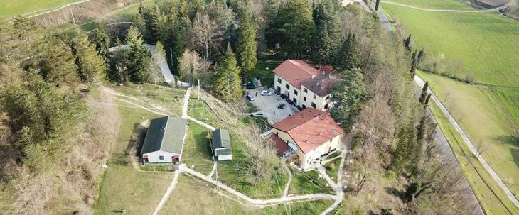 Dhamma Atala Dhamma Atala